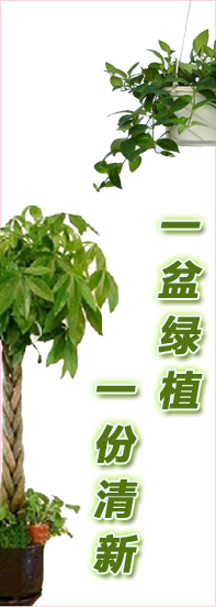 鲜花网